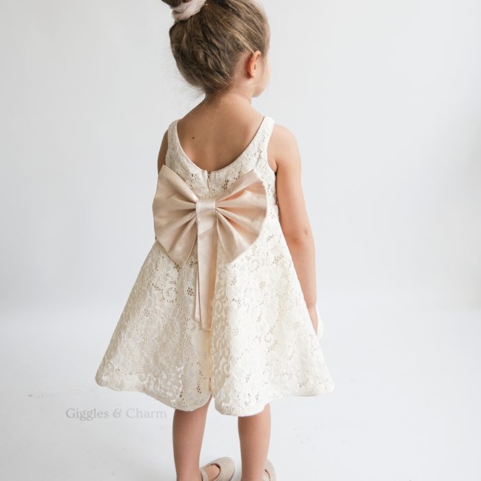 Lace overlay dress
